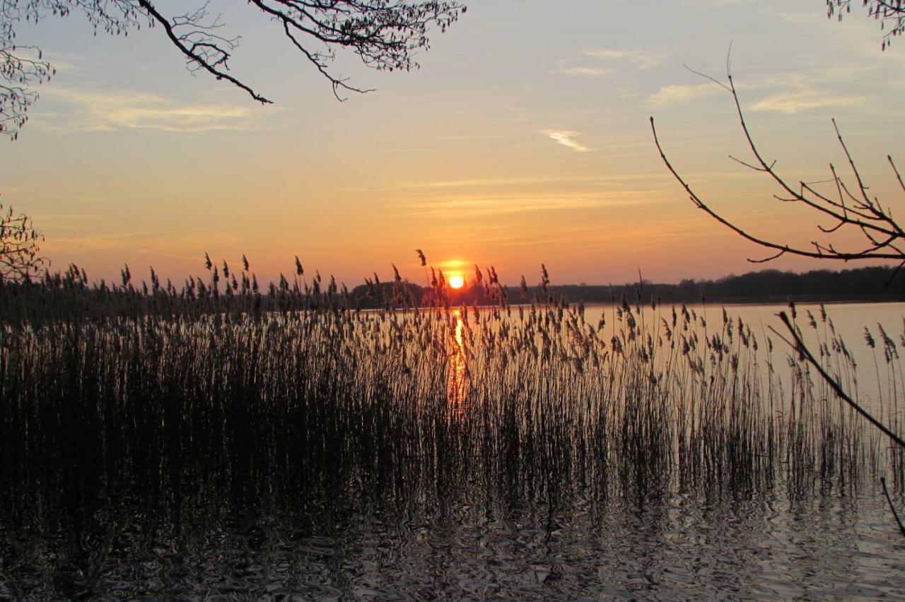 Apartament Ferienhaus Mit 2 Fewo In Mecklenburg Wesenberg Zewnętrze zdjęcie