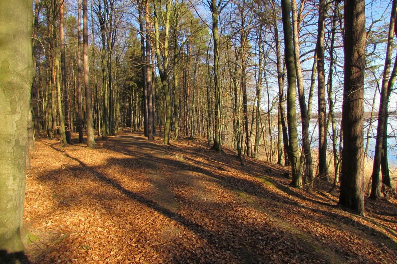 Apartament Ferienhaus Mit 2 Fewo In Mecklenburg Wesenberg Zewnętrze zdjęcie
