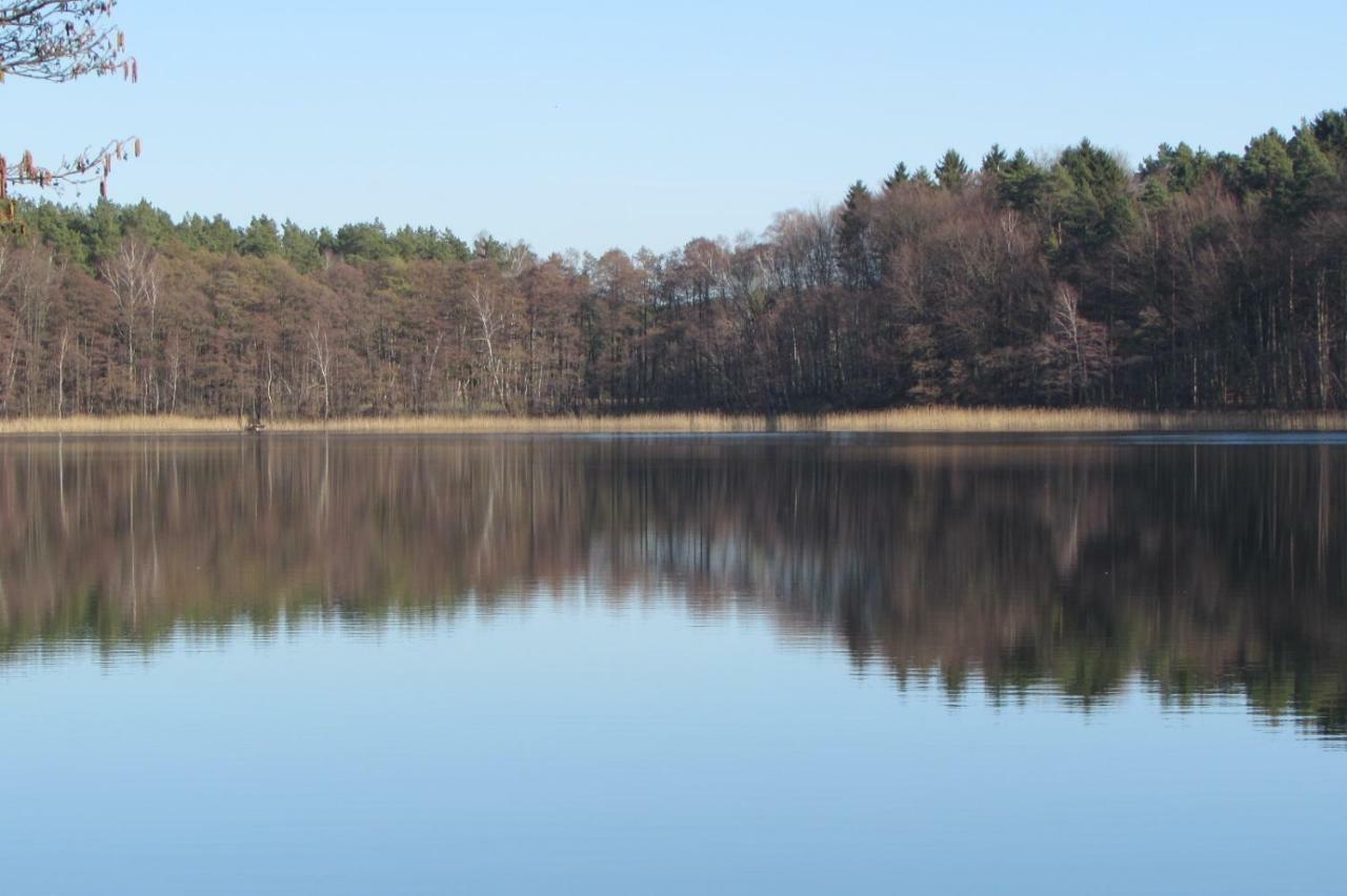 Apartament Ferienhaus Mit 2 Fewo In Mecklenburg Wesenberg Zewnętrze zdjęcie